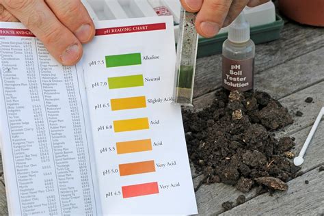 hardness test for vines|low soil vine p levels.